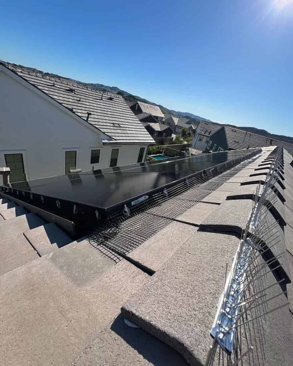 Bird Proofing image