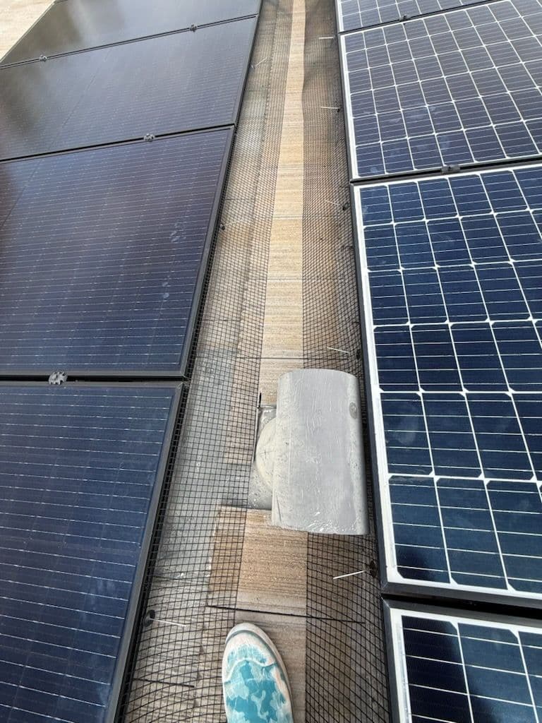 Gallery photos for Solar Panel Bird-Proofing in Buckeye, Arizona: Image #1