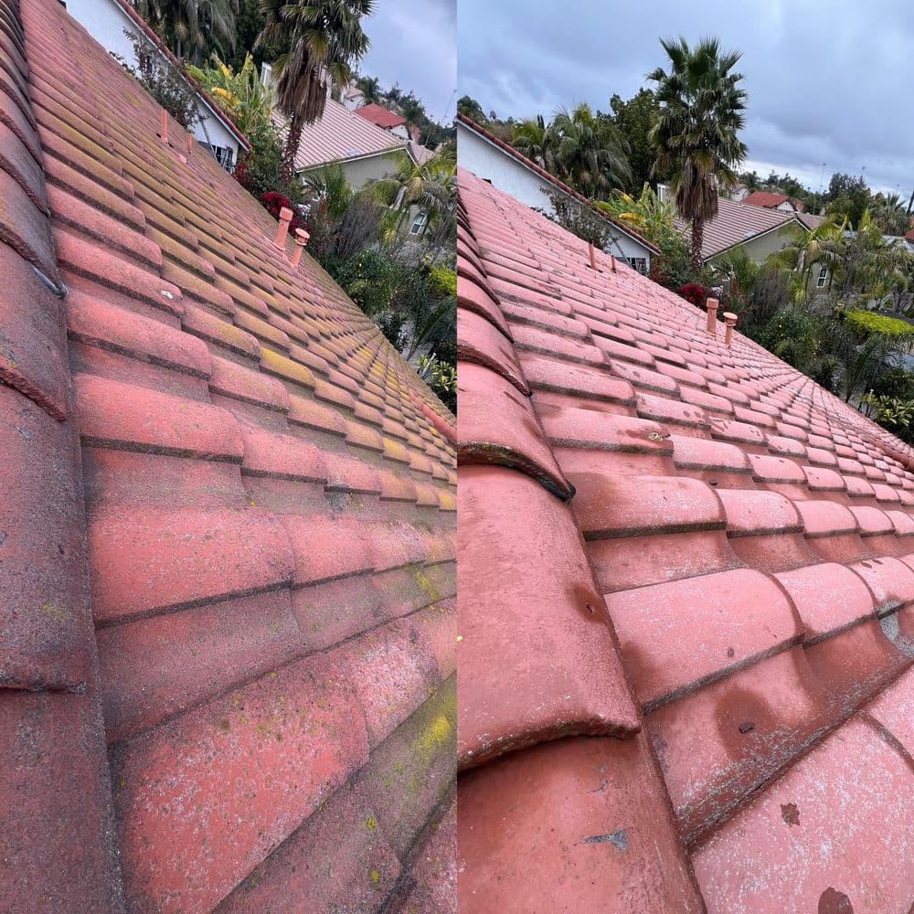 Gallery photos for Roof Washing: Image #2